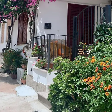 So Close To The Sea *